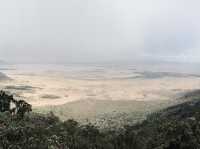 Ngorongoro Crater Viewpoint｜壯麗景色一覽無遺｜坦尚尼亞