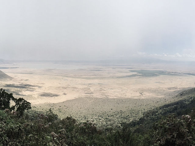 Ngorongoro Crater Viewpoint｜壯麗景色一覽無遺｜坦尚尼亞