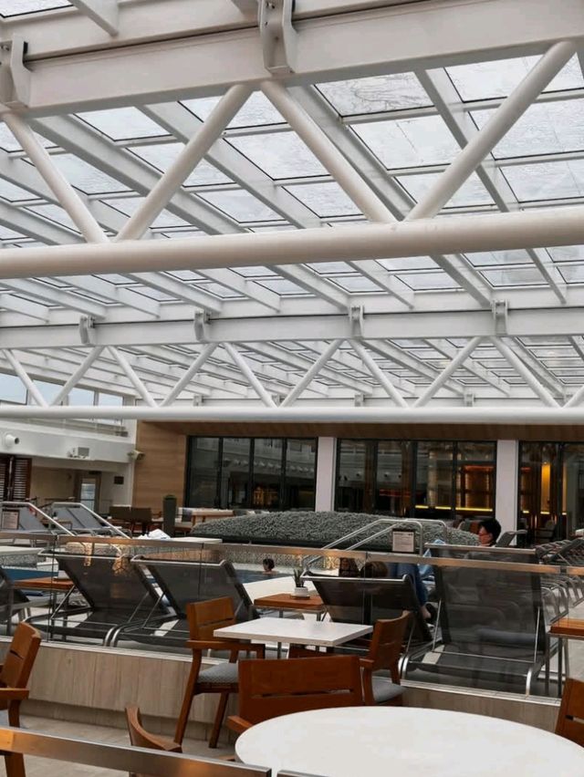 Feast at Sea – Viking Cruise Dining Delights! ⚓️🍽️🌊