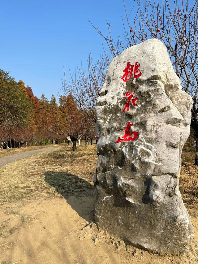 逃離城市喧囂💕躲進肇慶七星巖的綠野仙蹤