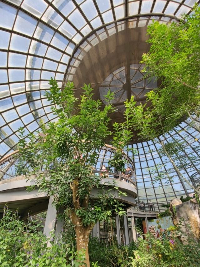 臺版濱灣花園#嘉大植物園-嘉義市東區