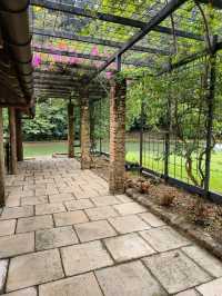 Hidden Café in the Forest – Lunch at Pineyard