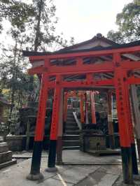 千鳥居之間，走進伏見稻荷的時光隧道
