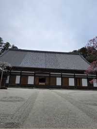 瑞巖寺-來到日本三景松島絕對不能錯過的國寶