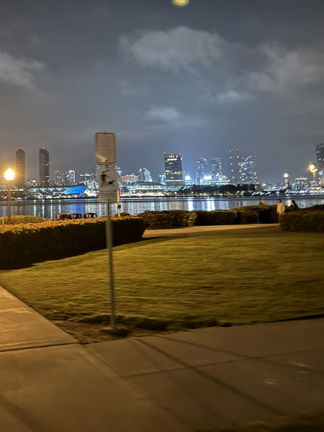 🌌 Centennial Park 야경, 샌디에고의 낭만적인 밤!