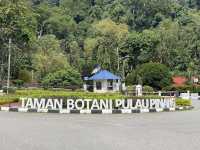 🌿 Botanic Gardens Adventure: Penang’s Green Oasis of Monkeys & Magic!  