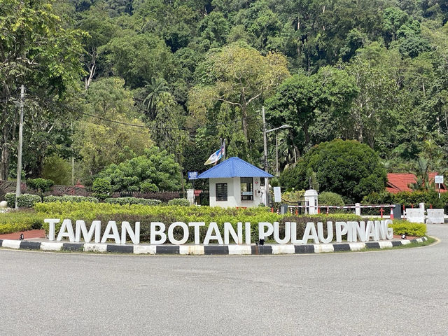 🌿 Botanic Gardens Adventure: Penang’s Green Oasis of Monkeys & Magic!  