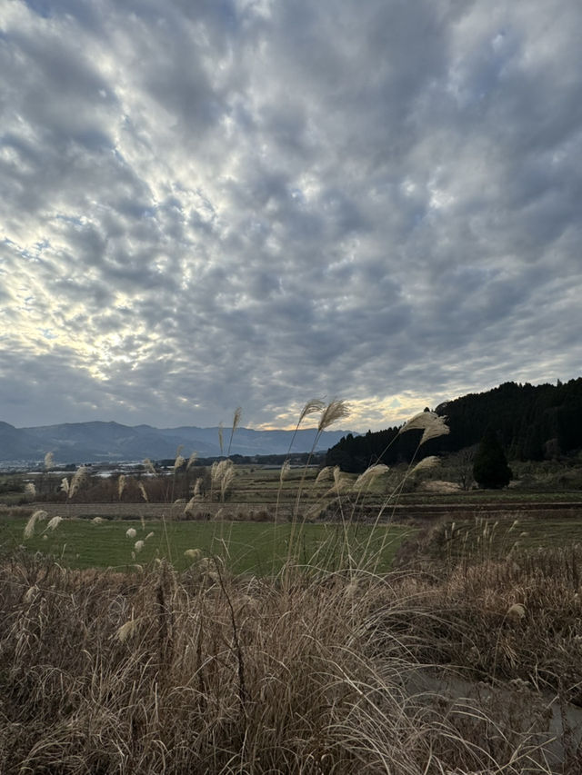 IG爆紅《螢火之森》知名場景之一「上色見熊野座神社」看點 交通 美食攻略