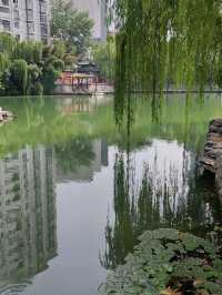 鄭州市區賞花漫步遊