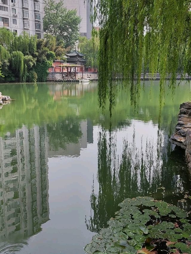 鄭州市區賞花漫步遊