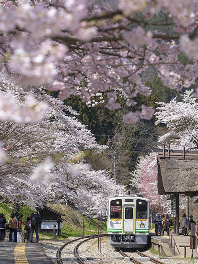 Early Blooming Japanese Train
