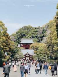 Kamakura (鎌倉) 🚃🌊 (คามาคุระ)