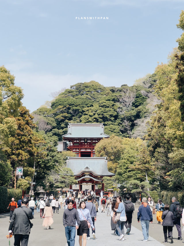 Kamakura (鎌倉) 🚃🌊 (คามาคุระ)