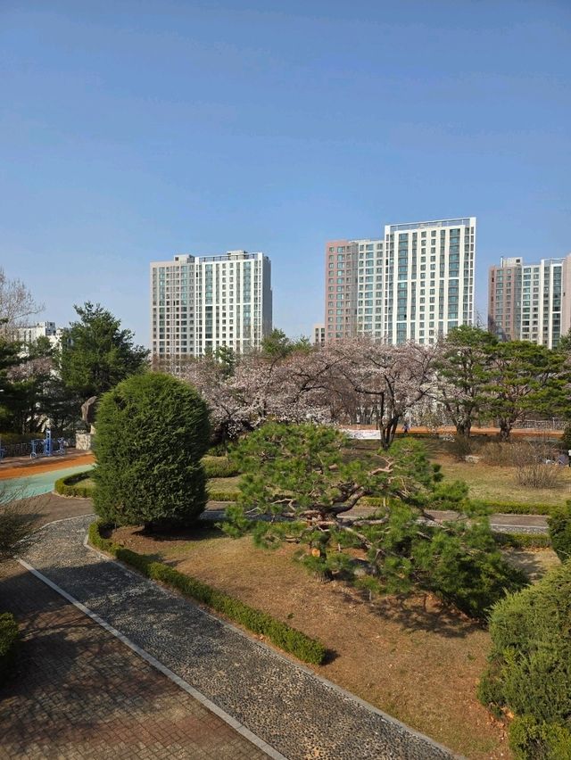 도심 속 여유, 성남 희망대공원에서
