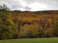 Arrowtown - the golden township in NZ South Island