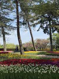 国営ひたち海浜公園｜色とりどりの絶景が広がる“アニメの世界”へ