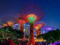 A Walk Through the Future: Exploring Gardens by the Bay, Singapore