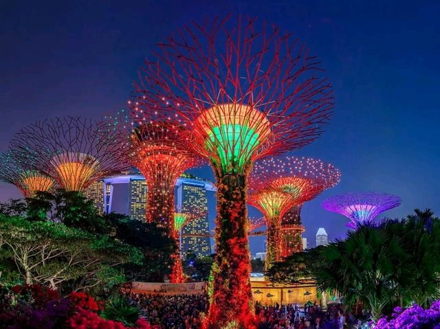 A Walk Through the Future: Exploring Gardens by the Bay, Singapore