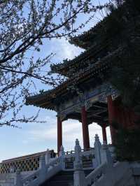JINGSHAN PARK วิวหลักล้าน ควรค่าแก่การมา ✨🌸