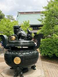 東京六日遊5/4第五天豪德寺喵喵廟
