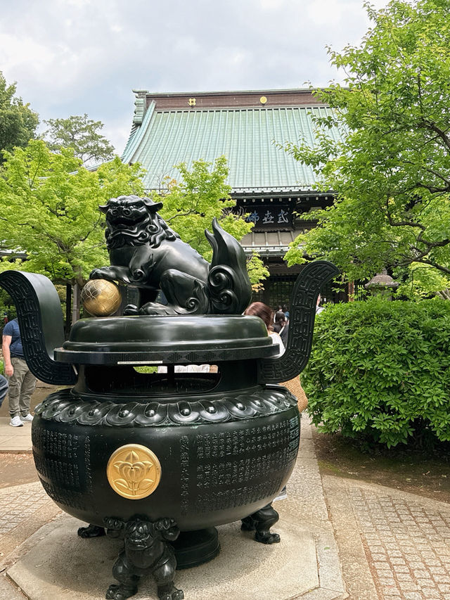 東京六日遊5/4第五天豪德寺喵喵廟