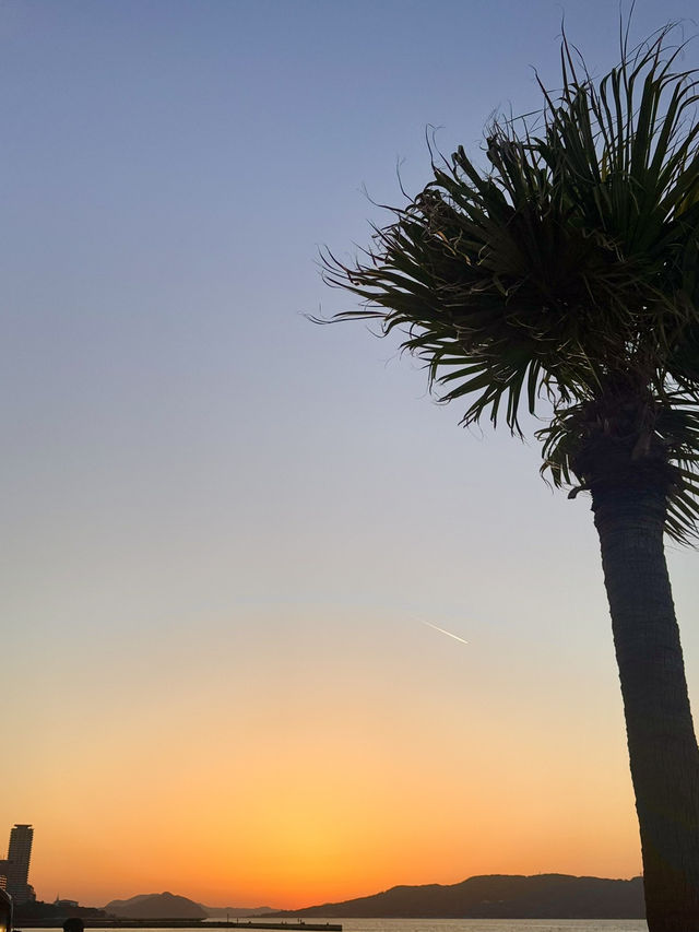 🇯🇵후쿠오카 필수 명소 노을이 이쁜 모모치해변🌅🏝️