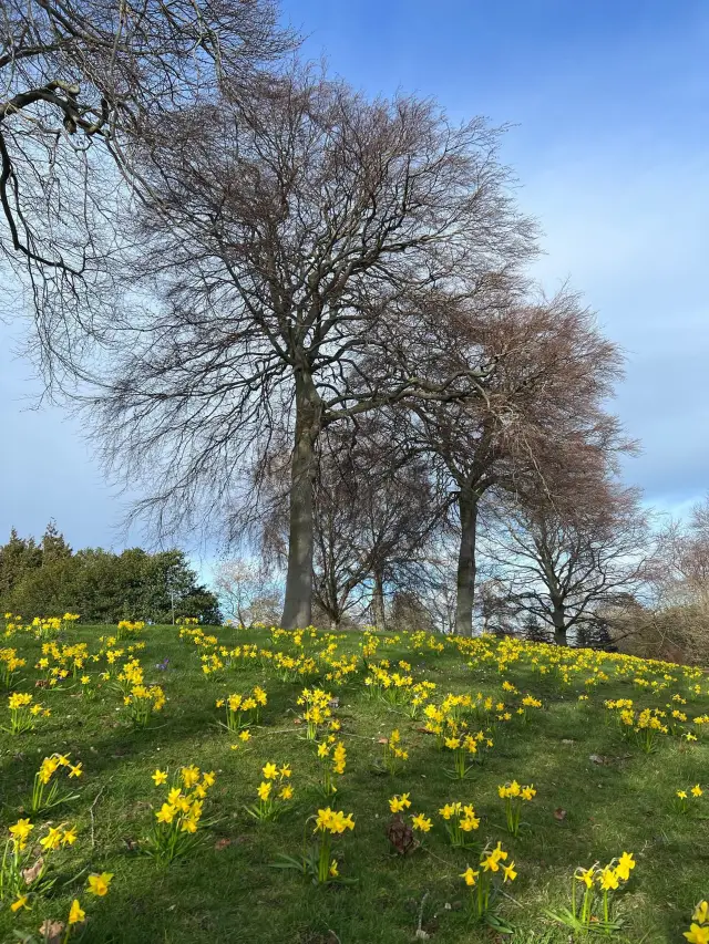 Spring Serenity at The Royal Botanic Garden Edinburgh