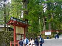 Enchanted Moments at Nikko Toshogu Shrine