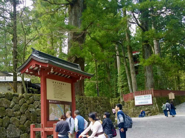 Enchanted Moments at Nikko Toshogu Shrine