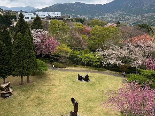 Mountain Air, Lake Views, and Sakura Feels