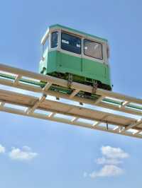 부산에서 꼭 해야할 액티비티 블루라인파크 스카이캡슐 열차🚃