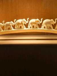 HILTON JAIPUR CITY || "I do love it"