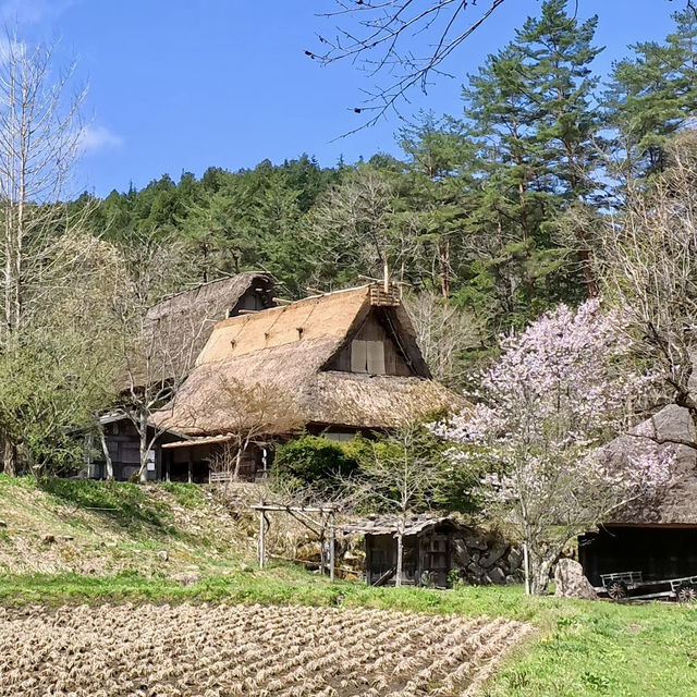 Time machine : Hida no Sato Open Air Museum