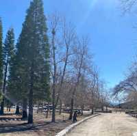 Oak Glen Apple Orchards – Oak Glen, CA