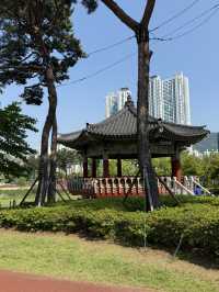 공원피크닉 가기 좋은 날씨 부산여행 도심속 피크닉 어때요🌳