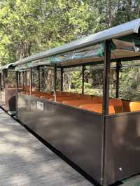 片道、約25分間のトロッコ旅ー❤️