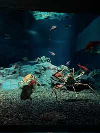 Love aquatic creatures? Osaka Kaiyukan is a must visit