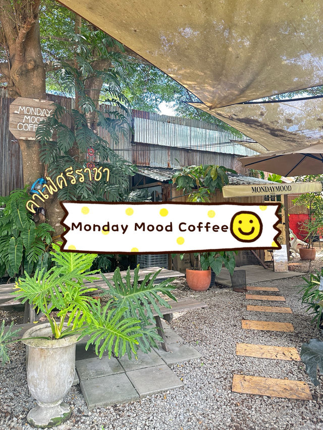 คาเฟ่ใต้ต้นไม้ใหญ่สุดชิล ในศรีราชา🌳