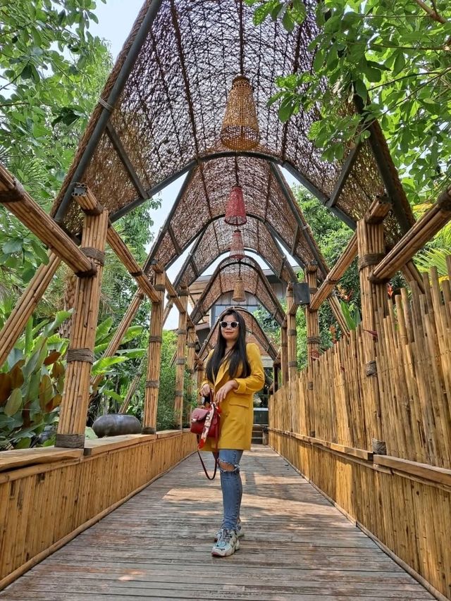 jungle de cafe เชียงใหม่ สาขาบ้านถวาย
