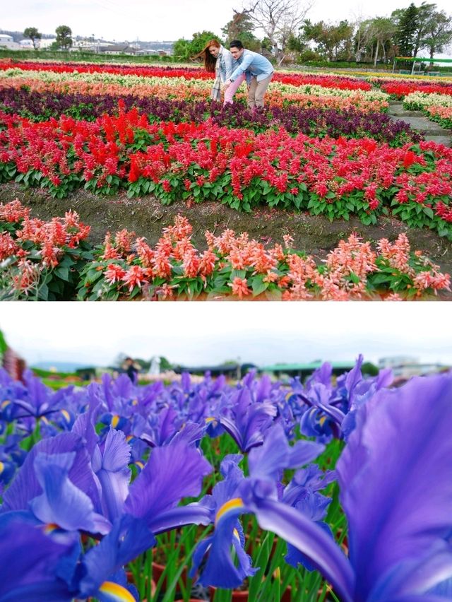 Explore Floral Fantasy: A Taichung Getaway at Zhongshe Flower Market