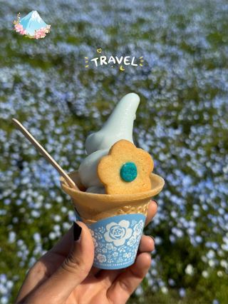 Nemophila Magic: Japan’s Blue Wonderland