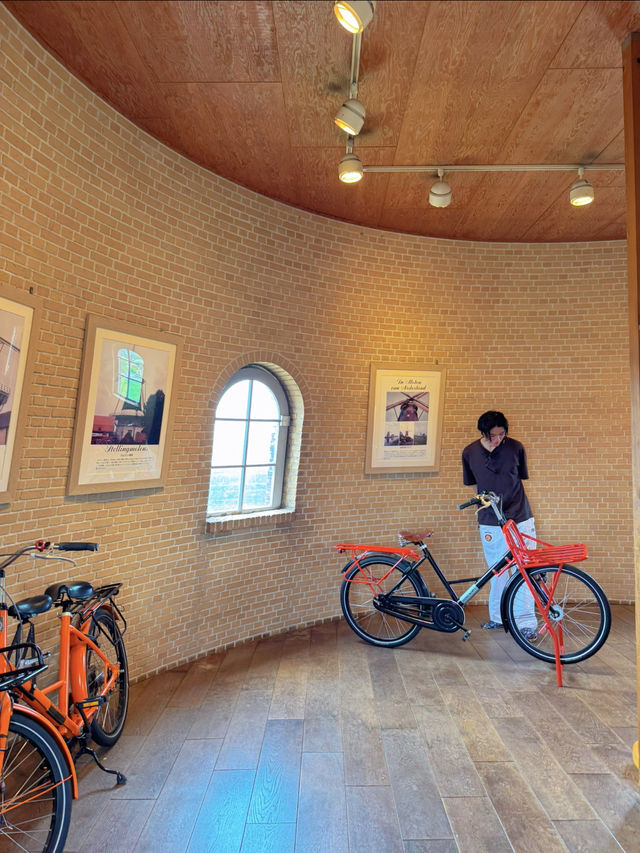 本当に日本？オランダ風車と長閑な風景に癒される佐倉ふるさと広場☺️🌷🇳🇱【千葉県】