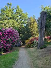 Tatton Park: A Grand Estate Full of Unexpected Magic