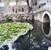 Imperial Elegance: A Journey Through the Summer Palace
