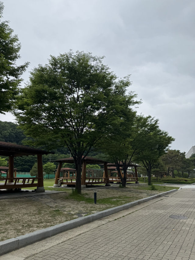 나무 속 숨은 아지트, 조용한 데이트 장소 발견 👍