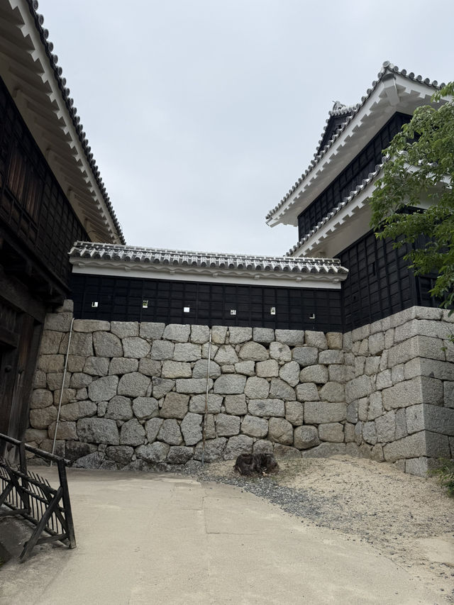 Riding Up to History – A Lift Adventure to Matsuyama Castle