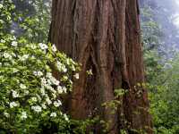 Deep into the Wilderness: Hiking Kings Canyon’s Trails