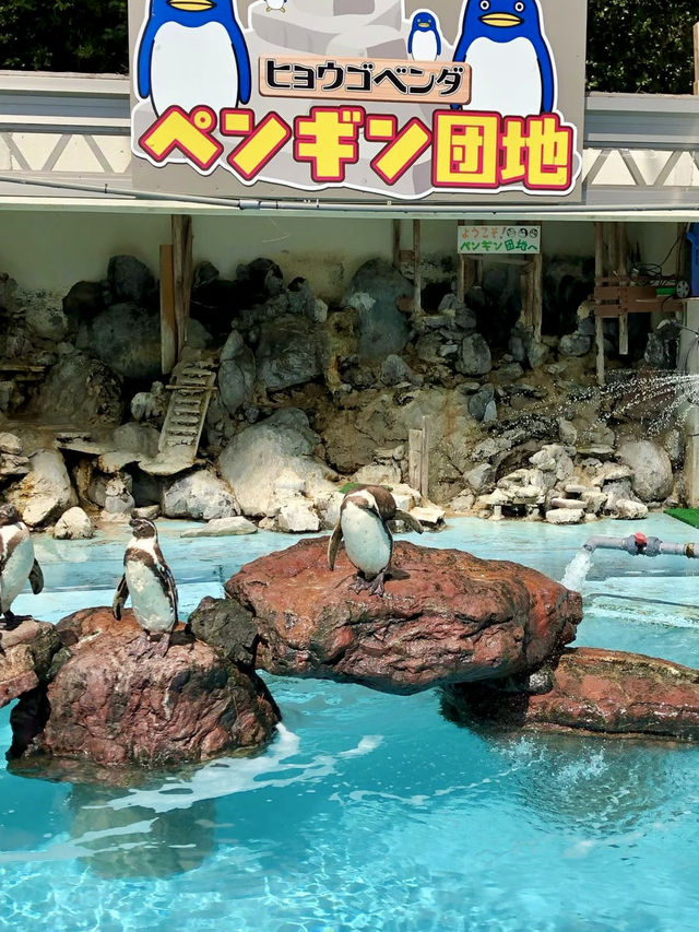 A Relaxed Day by the Sea – Exploring Katsurahama