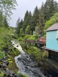 예쁜 수채화 같던 마을 캐치칸 Ketchikan