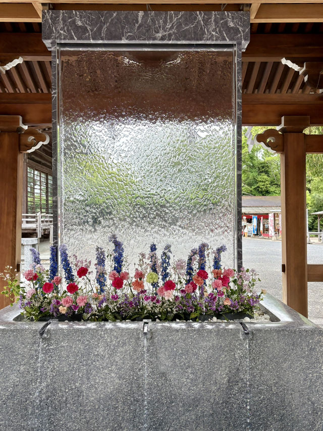 【福岡県】高台から参道と海が望める宮地嶽神社！